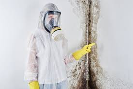 Best Forensic Mold Investigation  in El Cerrito, CA